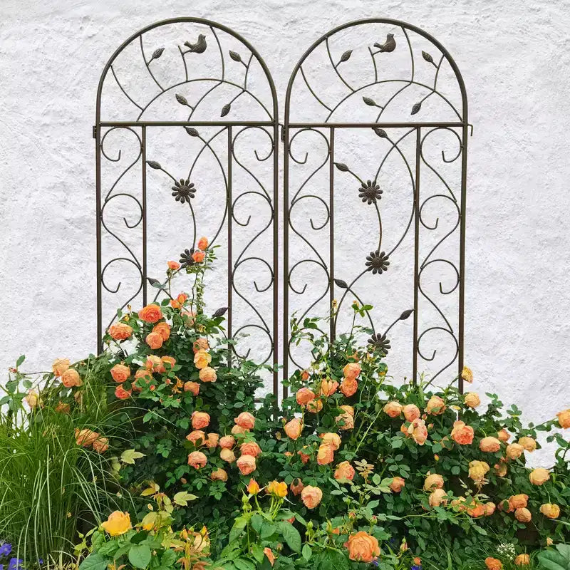 MAYEERTY Lot de 4 treillis de jardin en métal de 220 x 50 cm – Antirouille, marron, pour plantes et fleurs grimpantes d'extérieur