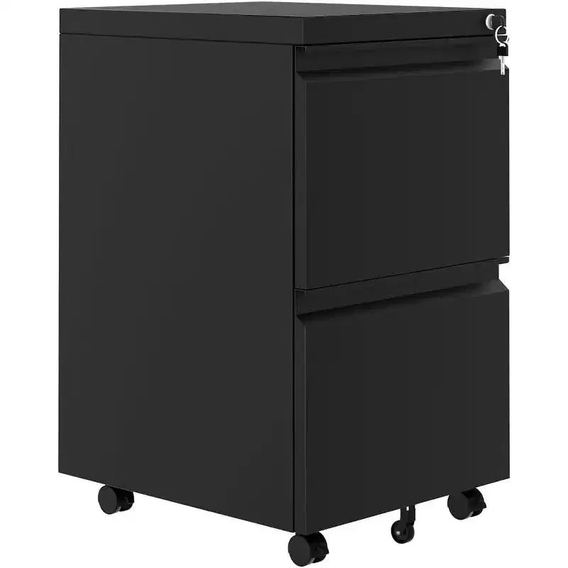 Acekool 2-Drawer Vertical Storage Cabinet with Lock, Metal File Organizer for Home Office or Bathroom, Letter/Legal Size Files, Black