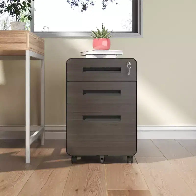 Classeur mobile VIYET 23H avec serrure - Entièrement en acier, entièrement assemblé, conception anti-basculement et roulettes verrouillables, pour documents A4/Letter, pour la maison/le bureau (Noir)