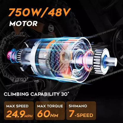 Eilleo 20 Fat Tire E-Bike  750W Motor (920W Peak), 24.9 mph, 5070 Mile Range, 48V 15.6Ah Battery, Dual Suspension, Shimano 7-Speed