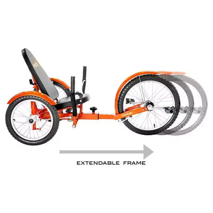 Mobo Triton Pro 20 Cruiser Specialty Bike