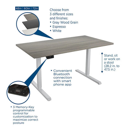 Bridgeport E-Lift Adjustable Height Pro-Desk