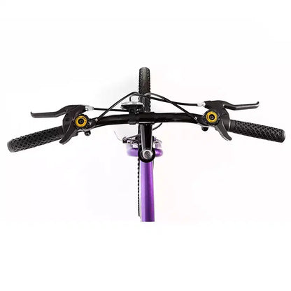 VTT Titan Bikes Wildcat 12 vitesses pour femme, violet/noir